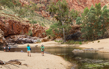 Default Alt Text for Preview Image